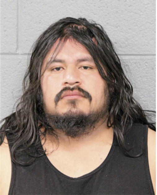 ODILON RENDON-DOMINGUEZ, Cook County, Illinois