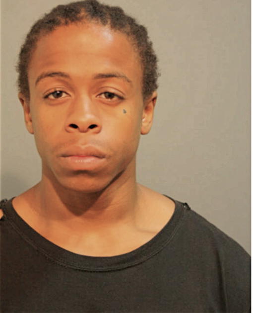 COREY L RICE, Cook County, Illinois