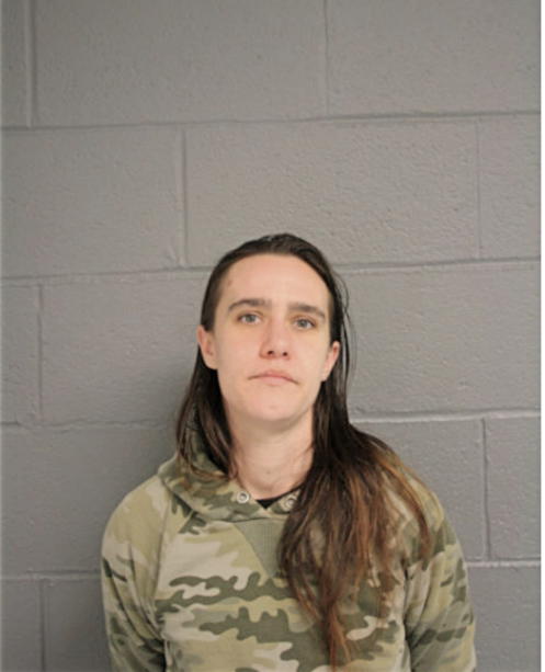 DIANE N RIDDLE, Cook County, Illinois
