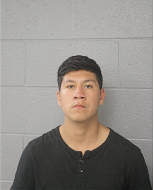 IAN I ROSALES, Cook County, Illinois