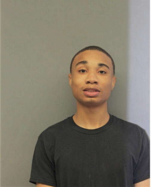 LEE J SIMS, Cook County, Illinois