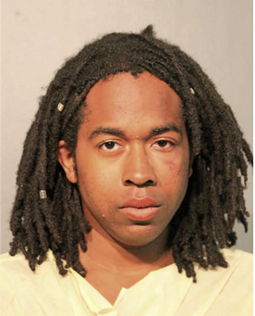 DAVID G SPEARMAN, Cook County, Illinois