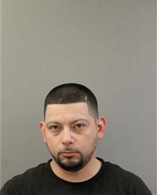 MICHAEL A VALLE, Cook County, Illinois