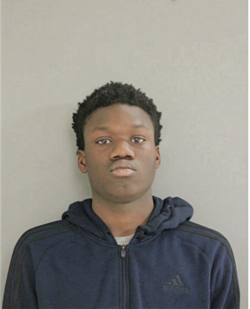 VYKIAL L WHITE, Cook County, Illinois