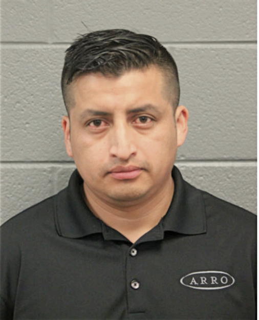 CARLOS B ANDRADE, Cook County, Illinois