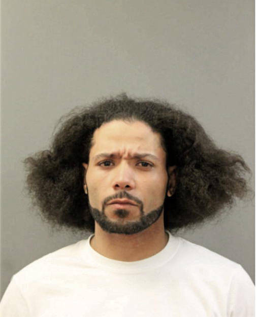 EDDIE E BOWMAN, Cook County, Illinois