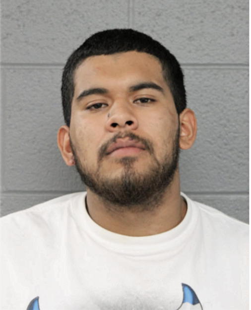 BLADIMIR CARVAJAL, Cook County, Illinois