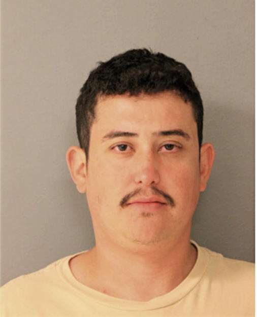 LUIS A CASTRO, Cook County, Illinois