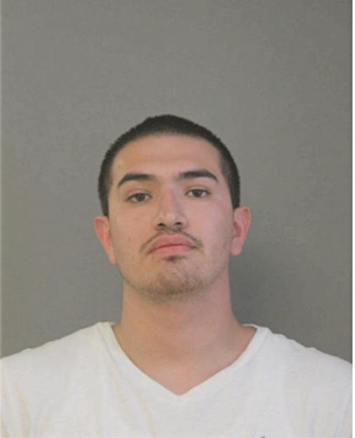 MARIO DOMINGUEZ, Cook County, Illinois