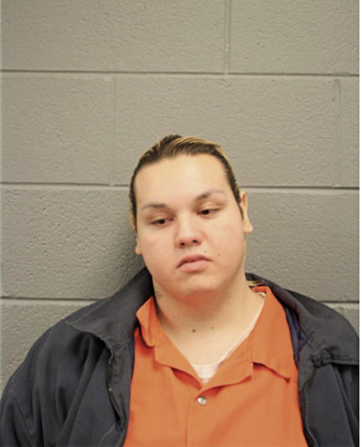 BIANCA FELICIANO, Cook County, Illinois