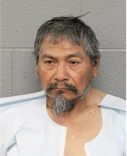 ELMERCINO FLORES, Cook County, Illinois