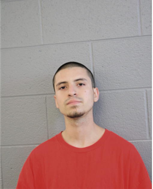 EDGAR A FUENTES, Cook County, Illinois