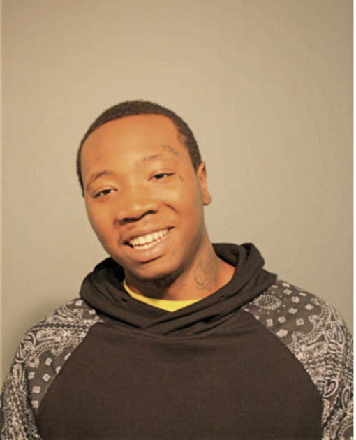 VLADIMIR R GEORGES, Cook County, Illinois