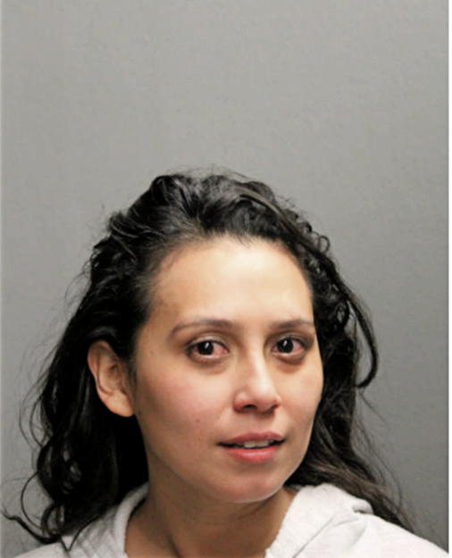 SENDY N HENRIQUEZ, Cook County, Illinois
