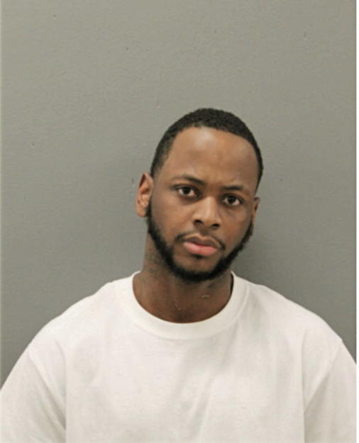 ERIC M JOHNSON, Cook County, Illinois