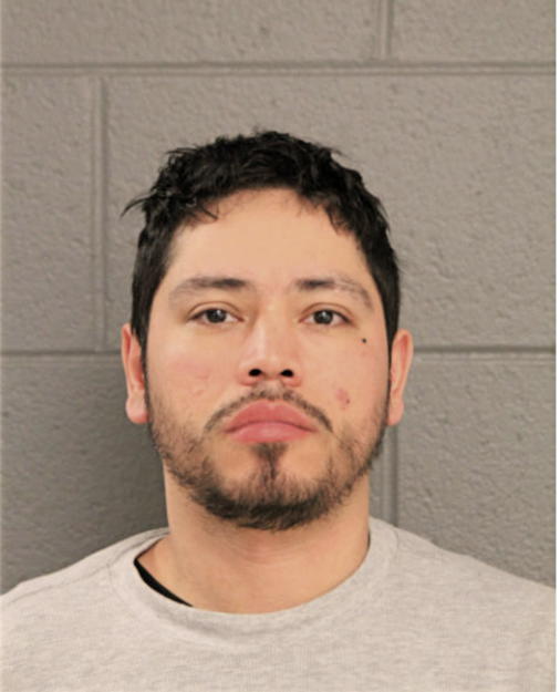 LUIS E LEON, Cook County, Illinois