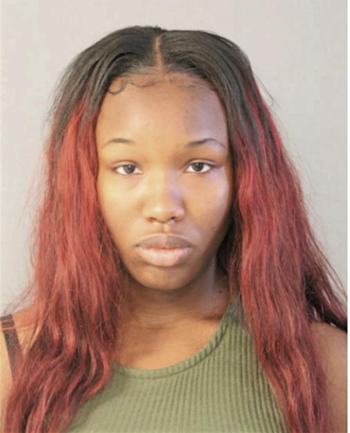 ALISHA E LLOYD, Cook County, Illinois