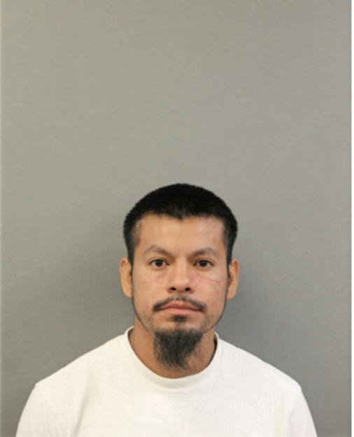 JAVIER MARTINEZ, Cook County, Illinois