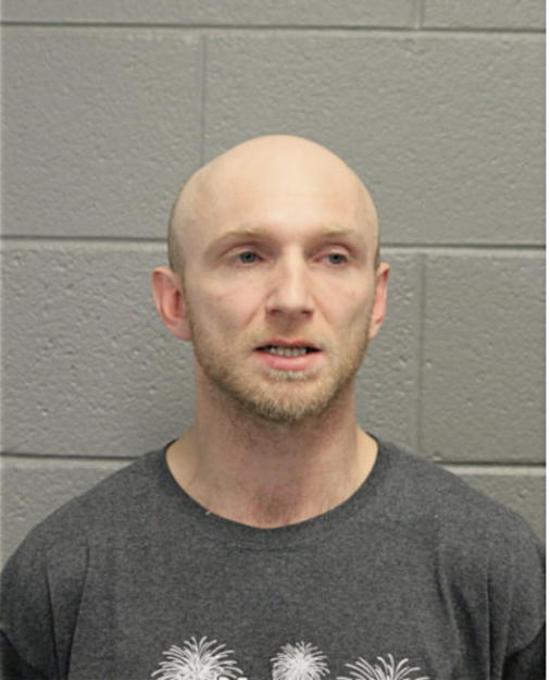 ANDRZEJ M MASNIK, Cook County, Illinois