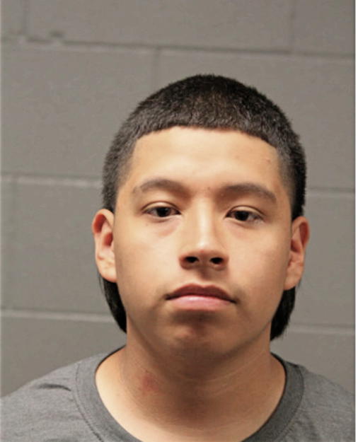 JONATHAN MEJIA, Cook County, Illinois