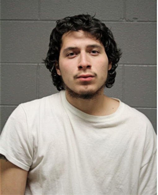 DAVID R ORTIZ, Cook County, Illinois