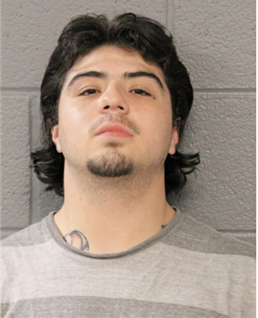 RICARDO I PENAFLOR, Cook County, Illinois