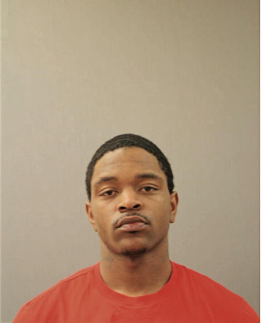 LAJUAN T REYNOLDS, Cook County, Illinois