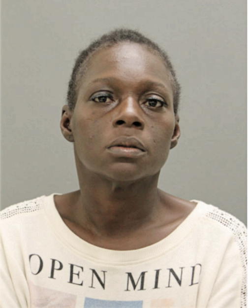 KAREN E ROBINSON, Cook County, Illinois
