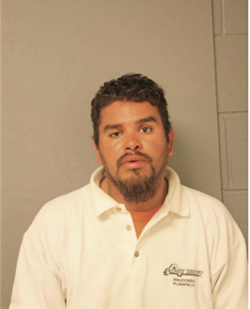 LLONI RODRIGUEZ, Cook County, Illinois