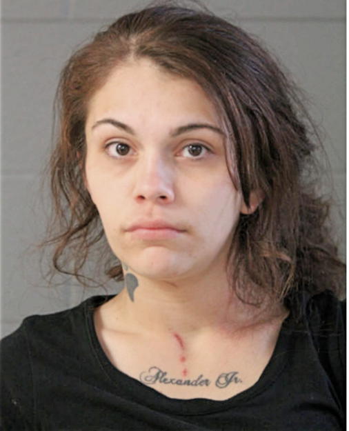PAIGE K SANTANA, Cook County, Illinois