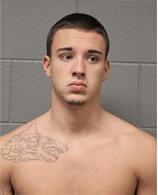 ALEXANDER C STOPPA, Cook County, Illinois