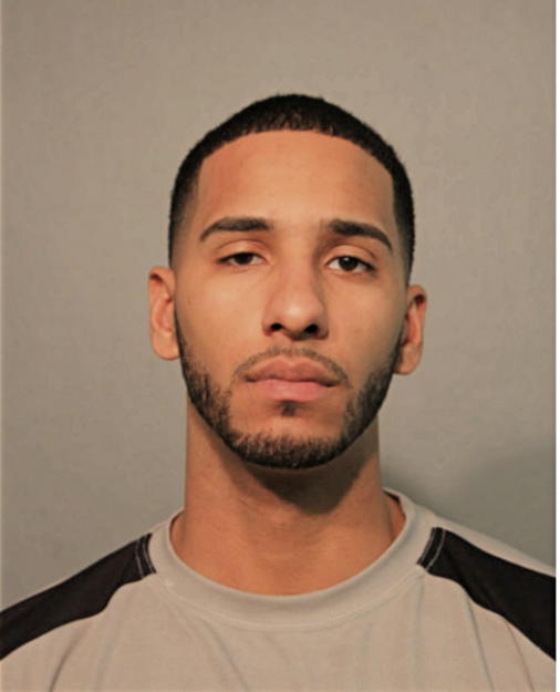 AUGUST I WILLIAMS, Cook County, Illinois