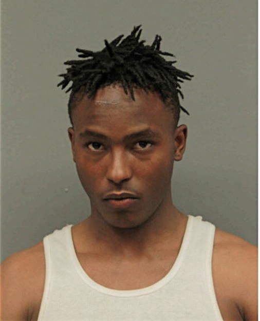 REGINALD L WOODFORK, Cook County, Illinois