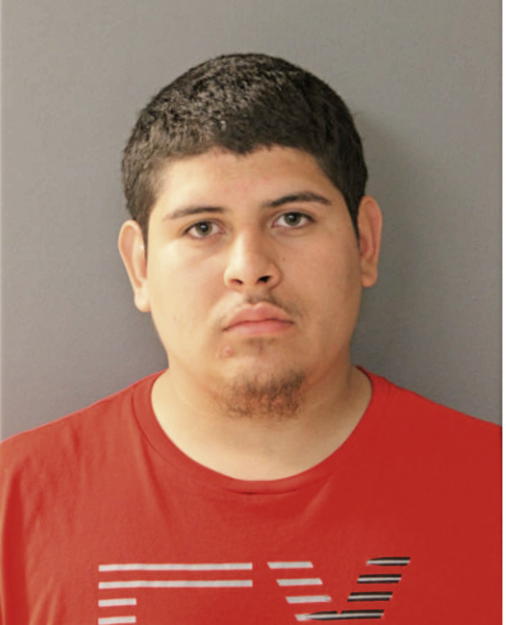 MISAEL ALVAREZ, Cook County, Illinois