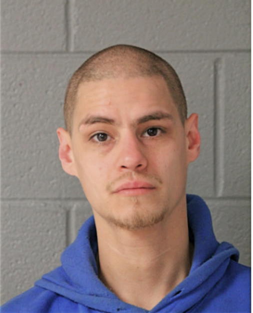 VINCENT A ALVAREZ, Cook County, Illinois