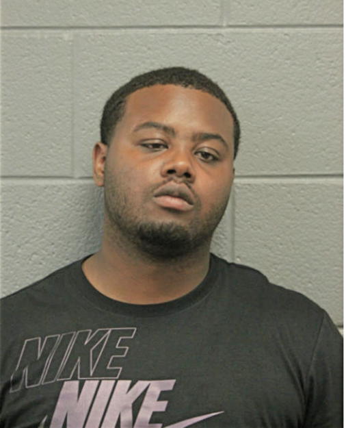 ERIC ANDERSON, Cook County, Illinois