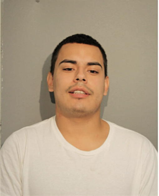 ALEJANDRO BARAJAS, Cook County, Illinois