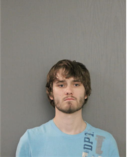 ADAM L BIRCH, Cook County, Illinois