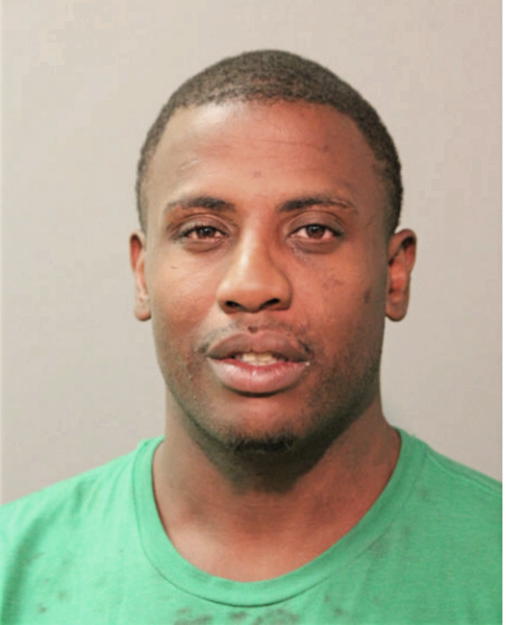 ROBERT P BOVAN, Cook County, Illinois