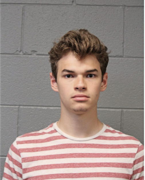 THOMAS W BUSEMAN, Cook County, Illinois