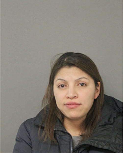 DULCE CASTREJON, Cook County, Illinois