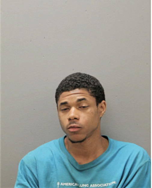 LAMONT L COLLINS, Cook County, Illinois