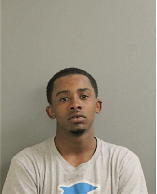 GREGORY T DAVIS, Cook County, Illinois