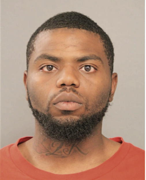 KENNETH Q DAVIS, Cook County, Illinois