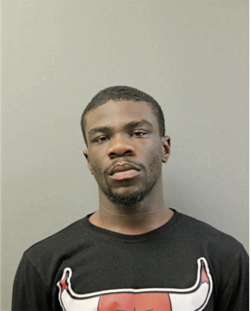 BRANDON J DEWALT, Cook County, Illinois
