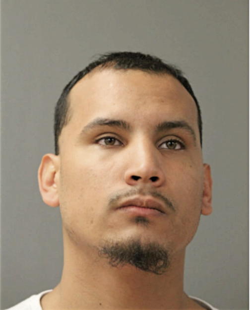 ERIC J ESTRADA, Cook County, Illinois