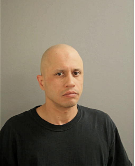 MARIO FLORES, Cook County, Illinois