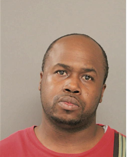 DAVID A FORD, Cook County, Illinois