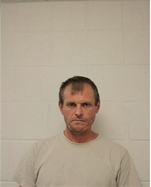 MIHAIL GRECHANIK, Cook County, Illinois