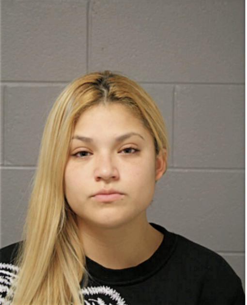 JENNIFER P HERNANDEZ-JIMENEZ, Cook County, Illinois